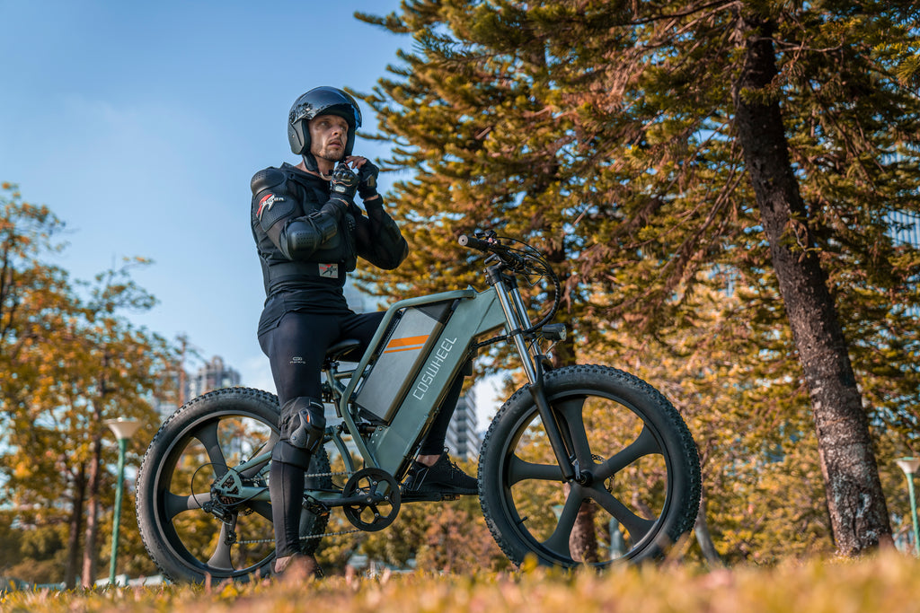 T26 Ebike