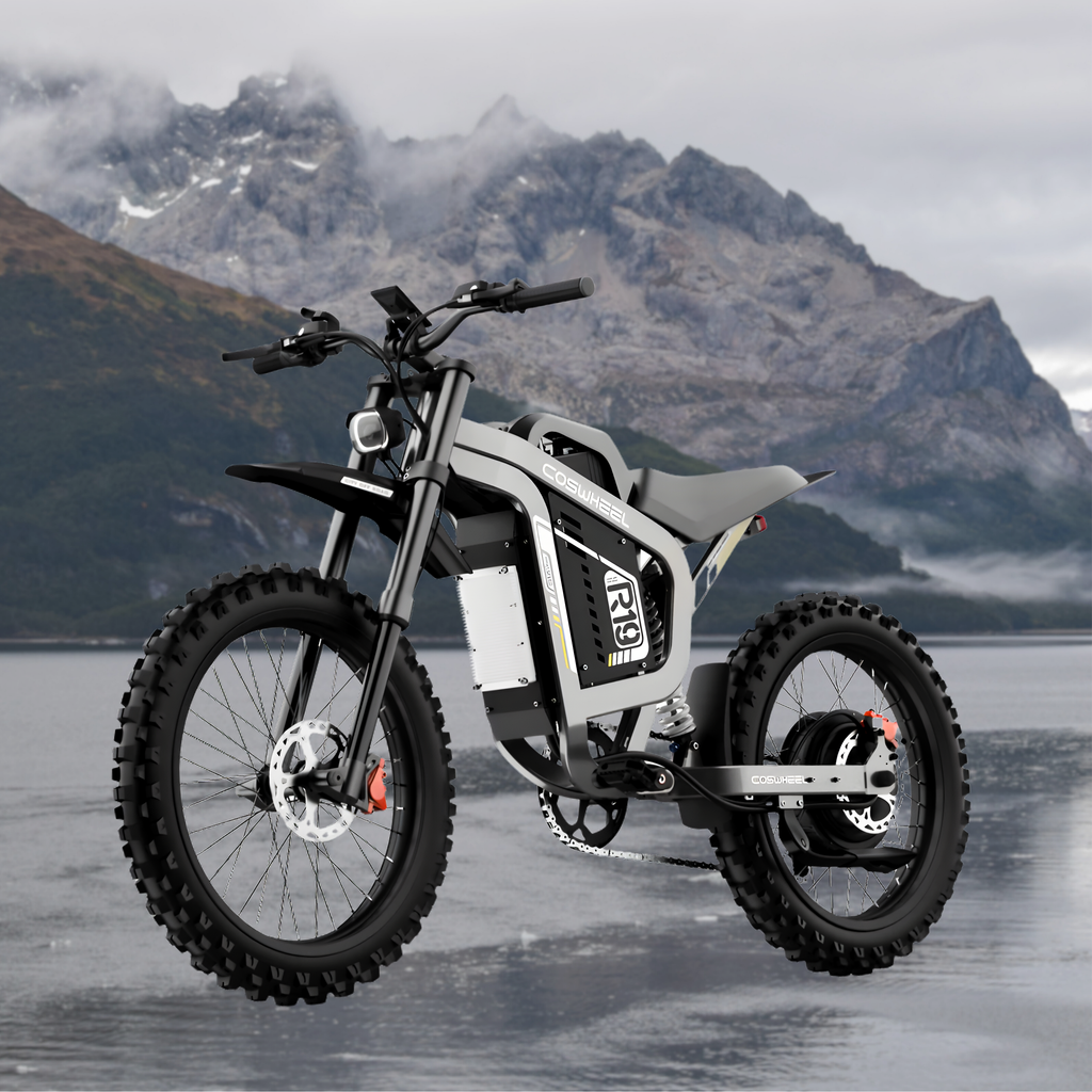 R19 Ebike