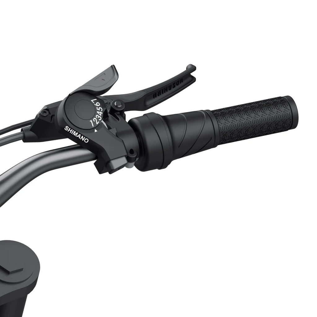 R19 Ebike 9kw Model